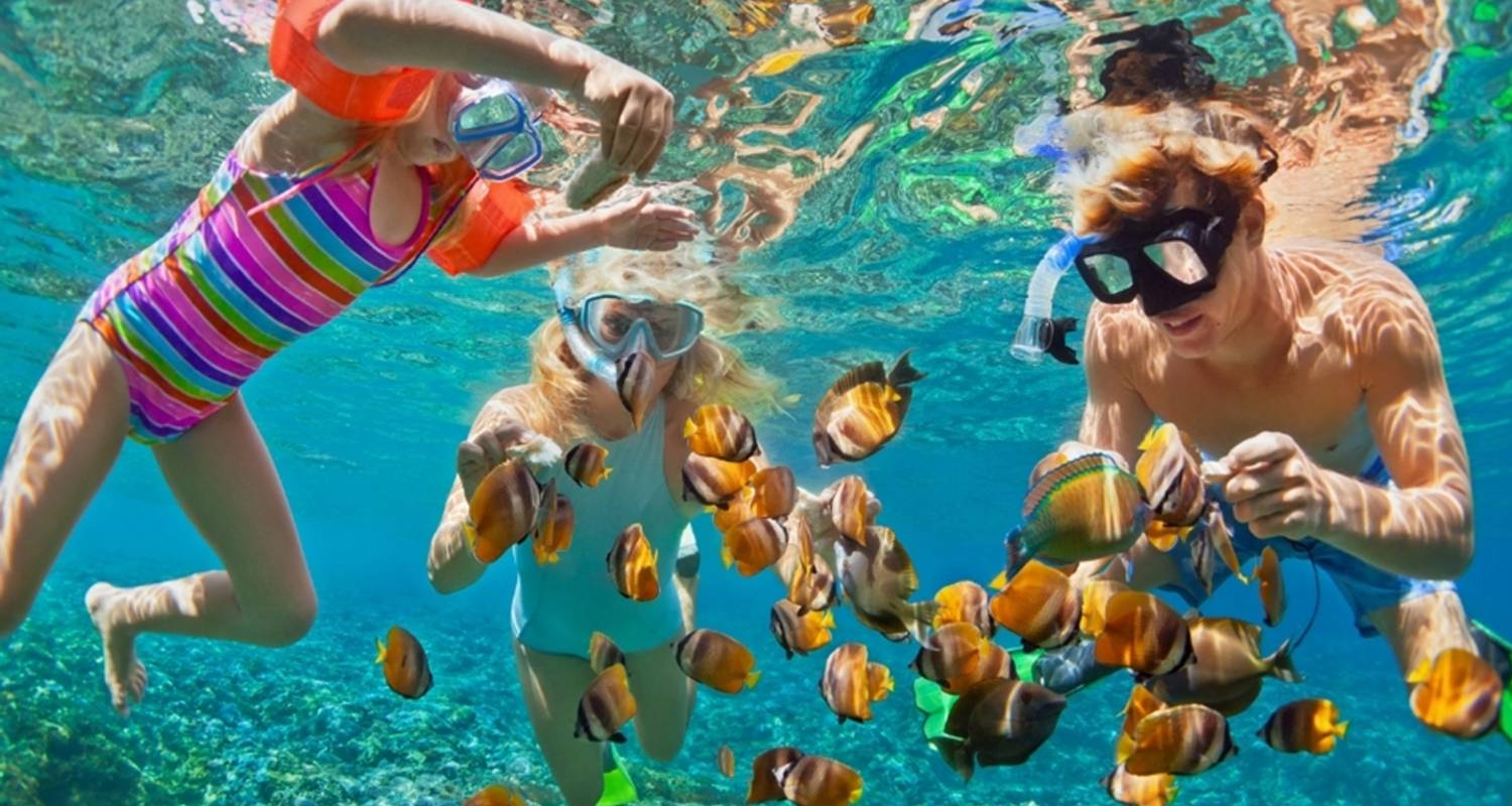 Snorkeling